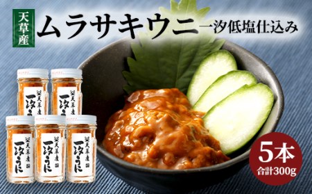 天草産ムラサキウニだらけ　豪華5本セット　(一汐低塩仕込み 60g)