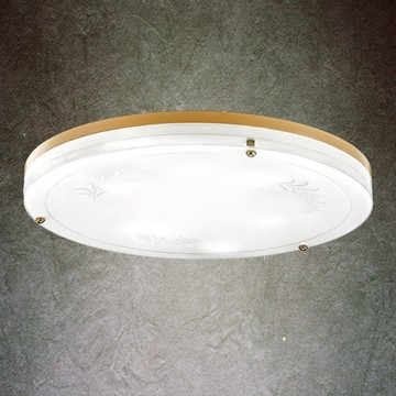 E27X6玻璃造型吸頂燈 F85-09-K3721