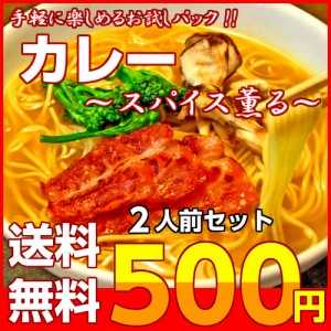 カレー ラーメン 濃厚 スパイス お取り寄せ お試し 2人前 セット 本格 カレールゥ とろみ 和風だし ダブルスープ ポイント消化 500円