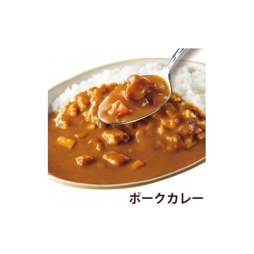 ふるさと納税 栃木県 矢板市 [いつもの味を、ご家庭で！] ココイチカレーDセット (ビーフ3個・ポーク3個・甘口2個・野菜2個・キーマ2個)｜CoCo壱番屋 レトルト…