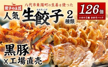  八代市東陽町の生姜を使った 餃子の王国 人気生餃子126個 ぎょうざ ギョウザ