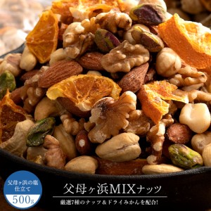 ミックスナッツ ドライみかん入り 素焼き 父母ヶ浜ミックスナッツ 500g (250g×2) 送料無料 素焼きミックスナッツ ナッツ ドライフルーツ