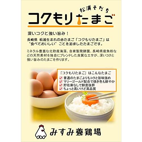 深いコクが特徴！こだわりエサの新鮮鶏卵４０個（１０個×４パック）