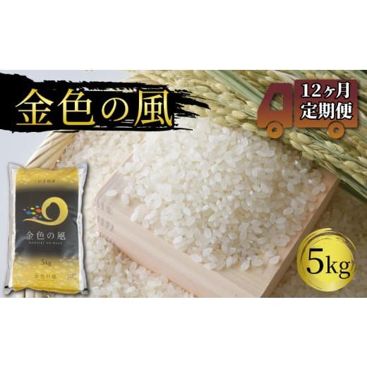 ふるさと納税 岩手県 大船渡市 米 定期便 5kg 12ヶ月 精米 一等米 金色の風 岩手県産 ご飯 白米