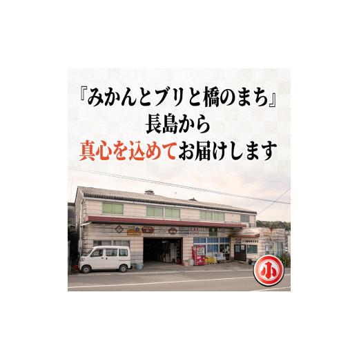 ふるさと納税 鹿児島県 長島町 こだわりの味噌・醤油セット(計2.3L)ogawa-1061