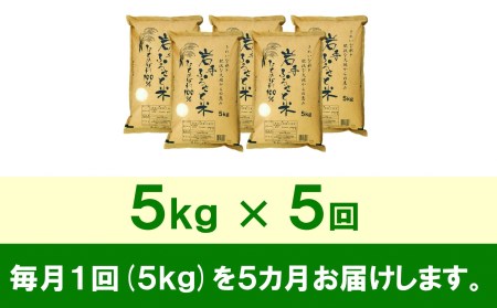 3人に1人がリピーター! ☆全5回定期便☆ 岩手ふるさと米 5kg×5ヶ月 令和5年産 新米 一等米ひとめぼれ 東北有数のお米の産地 岩手県奥州市産[U0140]