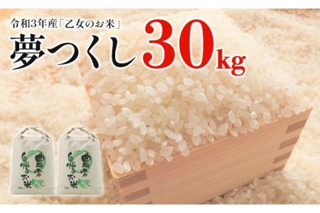 令和5年産「乙女のお米」夢つくし　30kg