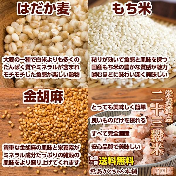 雑穀 雑穀米 国産 栄養満点23穀米 900g(450g×2袋) 送料無料 国内産 もち麦 黒米 ダイエット食品 置き換えダイエット 雑穀米本舗