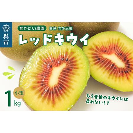 ふるさと納税 希少品種「 レッドキウイ 」国産 約1kg 広島県呉市