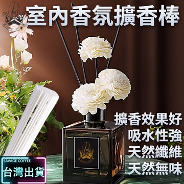 【現貨秒發🔥買13折3元】擴香棒 擴香竹 香氛棒 天然擴香 擴香枝條 香芬棒 極致擴香 纖維擴香棒 薰香棒 擴香枝 擴香