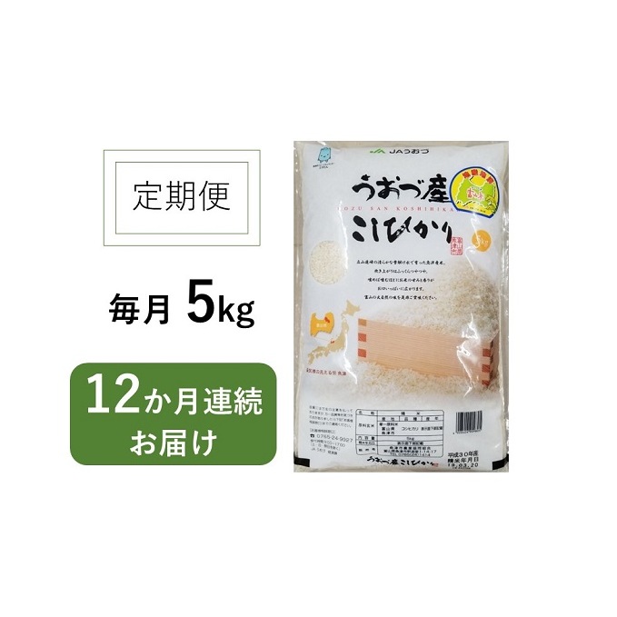 定期便 米 5kg 12ヶ月 コシヒカリ 富山 魚津産 こめ コメ お米 おこめ 白米 精米 12回 お楽しみ