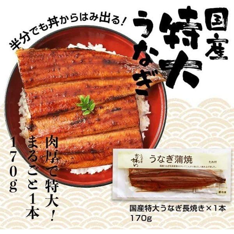 魚介・海産物 川口水産 国産うなぎ 蒲焼き3種組み合わせセット 合計約300g