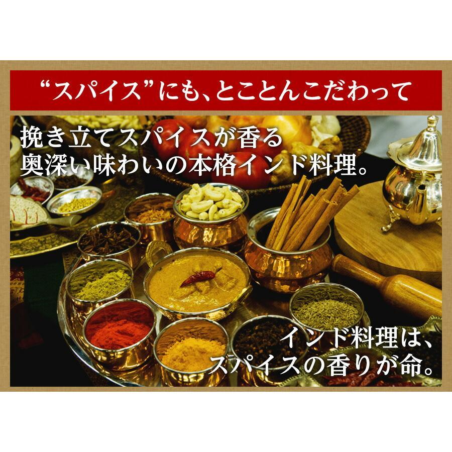 電子レンジで5分！冷凍チキンカレー弁当 インドカレー インド料理 アールティー 冷凍