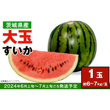 ふるさと納税 12-25茨城県産大玉すいか1玉（約6〜7kg） 茨城県下妻市