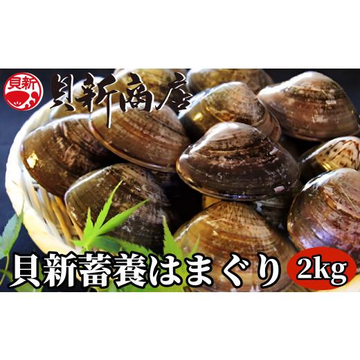 ふるさと納税 三重県 四日市市 貝新畜養 活かしはまぐり （極上サイズ）2kg 木箱入り