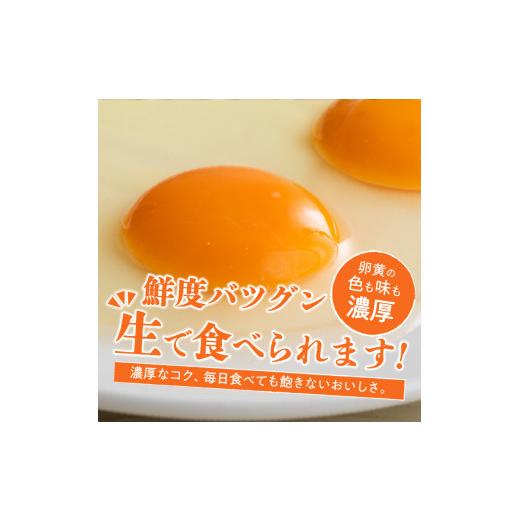 ふるさと納税 山梨県 北杜市 ☆彡12か月定期便☆彡　北杜のたまご（30個入）