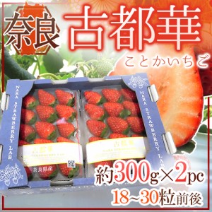 奈良県産 ”古都華いちご” 2pc（1pcあたり 約300g） 送料無料