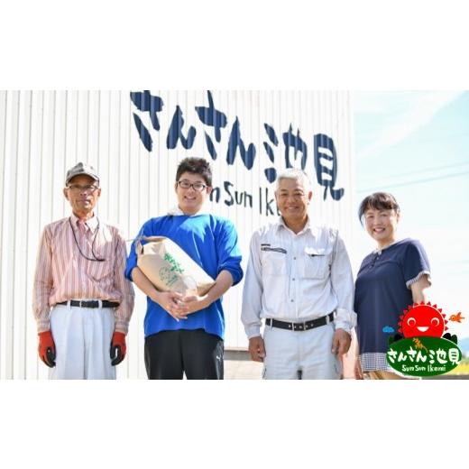 ふるさと納税 福井県 坂井市 さんさん池見二代目がお届けする 福井県産いちほまれ 2kg × 5袋 計10kg（玄米） [B-0207_04]