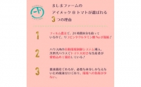 フルーツ・野菜定期便　果物　梨　栗　生栗　和梨　高糖度トマト 牧野富太郎博士の好物