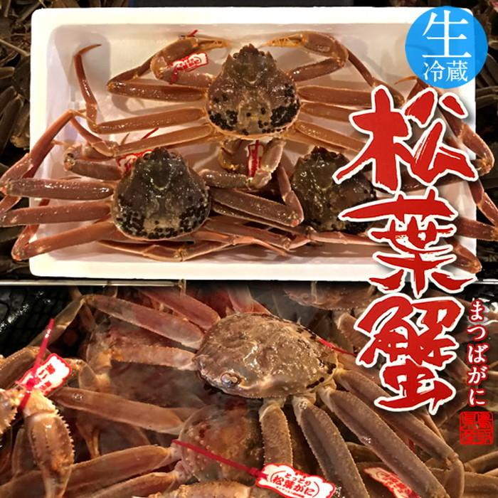 松葉蟹 かに 松葉ガニ 特大800g×3尾セット 活ガニ 生き蟹 鳥取県産 ブランドタグ付きマツバガニ ズワイガニ［お歳暮 2023 ギフト 御歳暮］