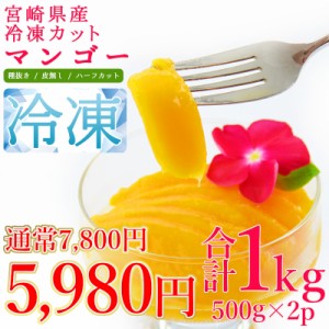 ＜宮崎県産冷凍カットマンゴー1kg＞ 500g×2P 種抜き 濃厚 国産 冷凍マンゴー 旬 デザート カット済 フルーツ 宮崎産