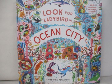 【書寶二手書T9／少年童書_QJO】Look for Ladybird in Ocean City [Hardcover]_Manolessou, Katherina