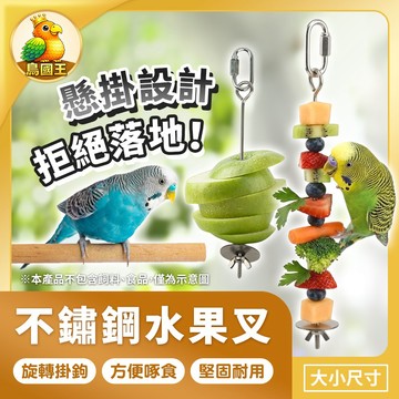 【鳥國王】不鏽鋼水果叉 鳥籠水果叉 掛籠水果串 鳥用水果插 鸚鵡水果叉 小寵水果叉 掛勾水果叉 鸚鵡用品 鳥類用品