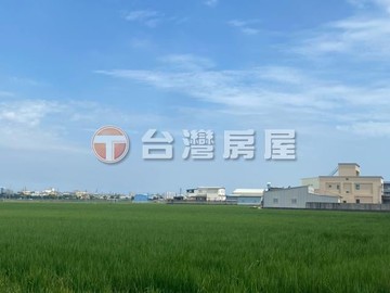 @台灣雅豐~沙鹿店 龍井區都內環境清幽便宜農地｜台中市龍井區中山段