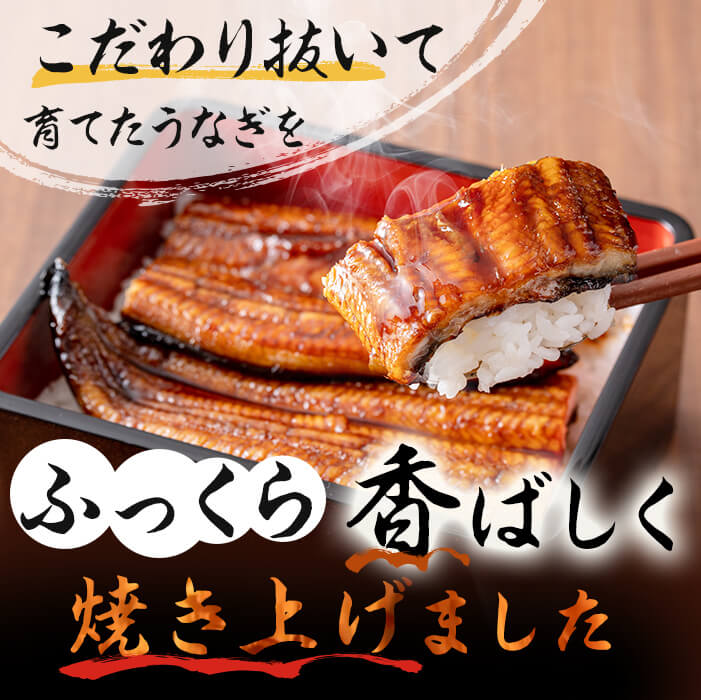 鹿児島県産 伊崎田のうなぎ蒲焼 中＜150g以上＞× 4尾(計600g以上) b5-150