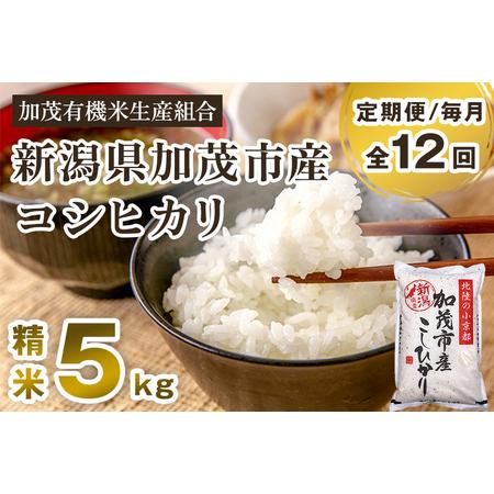 ふるさと納税 新潟県加茂市産コシヒカリ 精米5kg 白米 加茂有機米生産組合 定期便 定期購入 定期 コシヒカリ 新潟県.. 新潟県加茂市