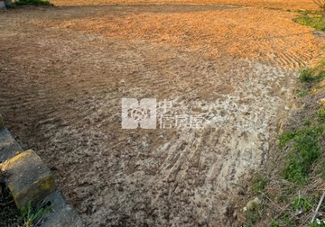 獨家：大園客運段//大同工廠旁【一般農】｜桃園市大園區南港段