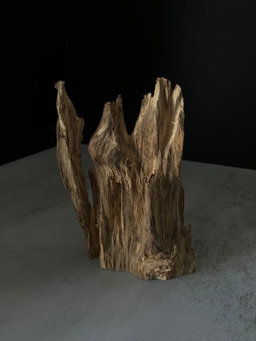 【日常進階款】野生加里曼丹沉香擺件ABK57(47g)