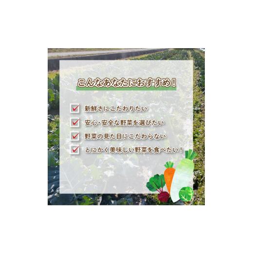 ふるさと納税 山口県 下関市  干し柿 下関産横野柿 20個 高糖度 季節限定 下関 山口