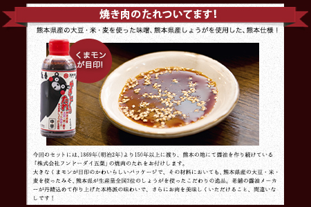 あか牛（褐毛和種）ロースステーキ (リブまたはサーロイン) 250g×2 500g 熊本県産 肉 和牛 牛肉 赤牛 あかうし リブロース サーロイン 冷凍 《60日以内に順次出荷(土日祝除く)》送料無料