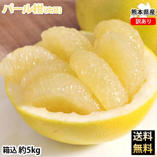 パール柑 5kg 箱込 (内容量4kg 不良果補償分500g)  文旦 みかん 送料無料 訳あり 無選別 サイズ混合 熊本県産 グレープフルーツ 蜜柑