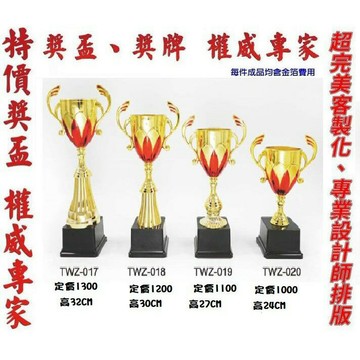 獎盃 獎牌 客製化 訂製各式  TWZ-017 TWZ-018 TWZ-019 TWZ-020 量多有優惠【大自在運動休閒精品店】