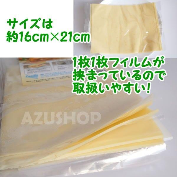 ラザニア生地 500g 冷凍 生パスタ シートパスタ