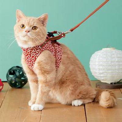 犬と生活 ハンドルベスト 猫用ハーネス レッド 約 着丈11 5 バスト29 32cm 猫用ウェア 通販 Lineポイント最大get Lineショッピング