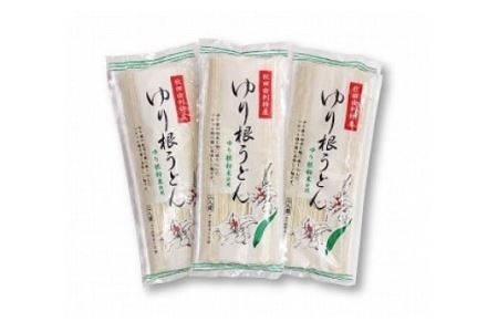 秋田県由利本荘市特産 ゆり根うどんバラ8把 合計1.6kg(200g×8把)