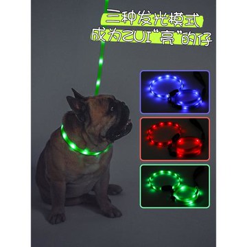 【特價】狗狗牽引繩夏季LED發光牽引繩項圈套裝小型犬狗鏈USB充電