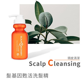 【髮基因】甦活洗髮精300ml