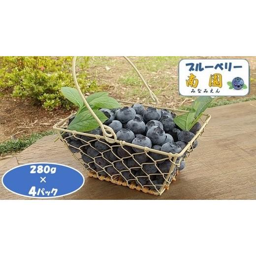 ふるさと納税 栃木県 小山市 ブルーベリー生果 280g x 4P『大粒・完熟』＜６〜８月出荷＞