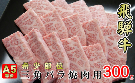 牛肉 飛騨牛 焼肉 希少部位 三角バラ 300g 黒毛和牛 A5 美味しい お肉 牛 肉 和牛 焼き肉 BBQ バーベキュー  