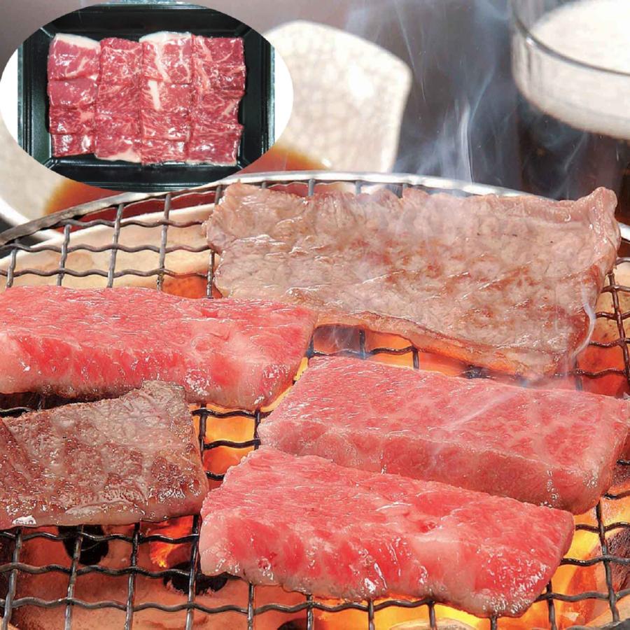 岐阜 飛騨牛焼肉 (モモ・バラ250ｇ)  送料無料 北海道・沖縄・離島は配送不可)