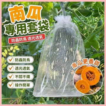 🔥臺灣熱賣⚡️南瓜套袋防蟲袋專用網袋無紡佈防鳥袋子西瓜冬瓜柚子水果蔬果網套🎉