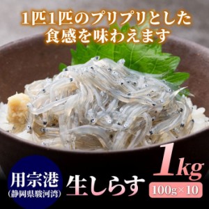 静岡県産 鮮度が命の生しらす 1kg（100g×10） 小分け 大容量 静岡 駿河湾 用宗港 シラス 冷凍