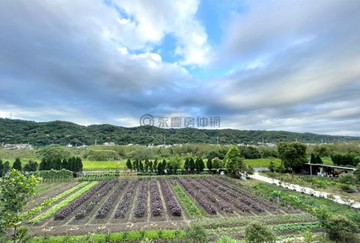 新竹合法農產品初級加工場+農機室+資材室｜新竹縣關西鎮下南片段