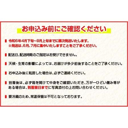 ふるさと納税 ≪数量限定≫日南市産完熟マンゴー(2L以上×4玉) フルーツ 果物 国産 令和6年発送分_EA11-23 宮崎県日南市