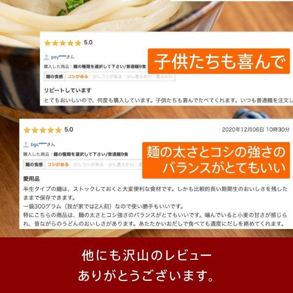 送料無料 3種から選べる 讃岐生うどん6食(300g×2袋) だし醤油付き うどん 讃岐うどん 香川 得トクセール ポイント消化 食品