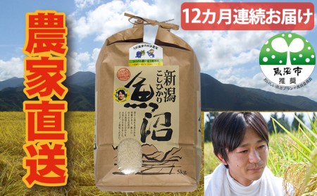 ツバメの飛び交う棚田米 5kg袋 12ヶ月 連続お届け 米 定期便 お米 こめ コメ おこめ 白米 こしひかり 12回 60kg お楽しみ